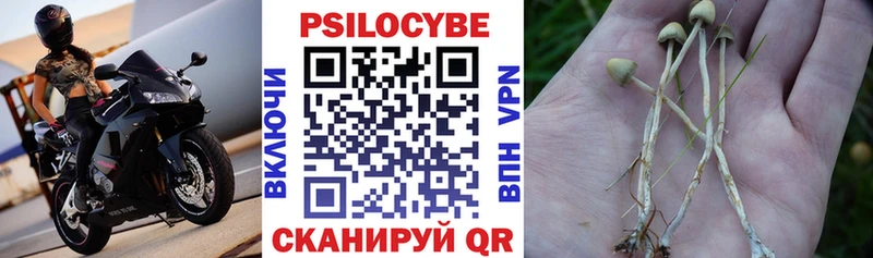 где продают наркотики  Тюкалинск  Псилоцибиновые грибы Psilocybine cubensis 